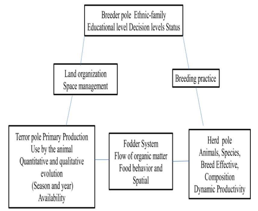 Methodological Approach used in this study farming system and their interactions