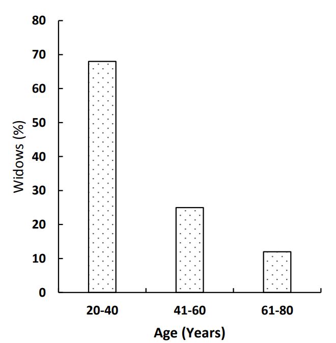 Age-wise groups of widows in the study area