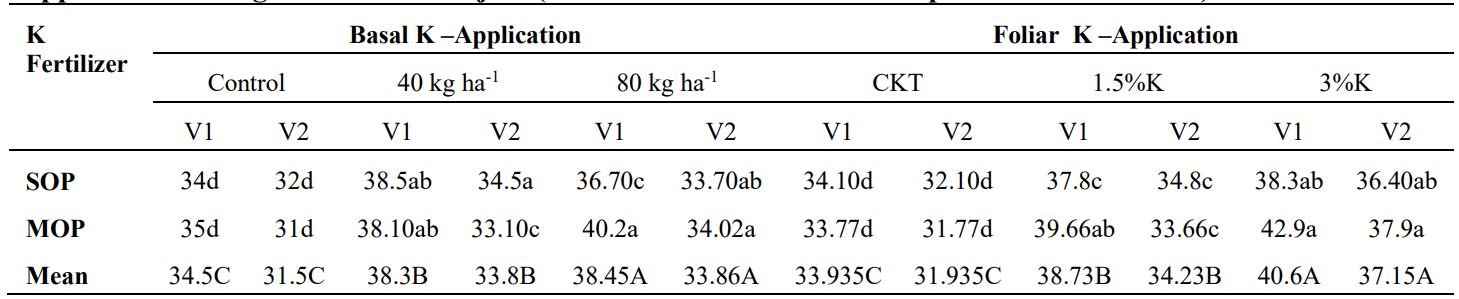 grain weight of wheat cultivars in response to levels and sources of potassium fertilizer application
