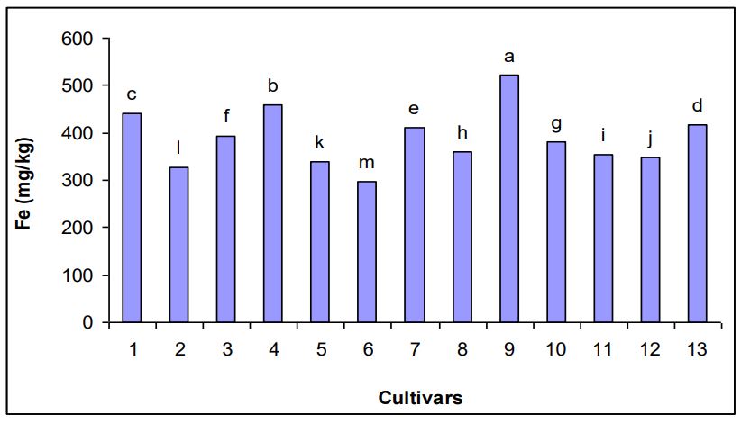 Genotypic variations in iron contents of potato tubers