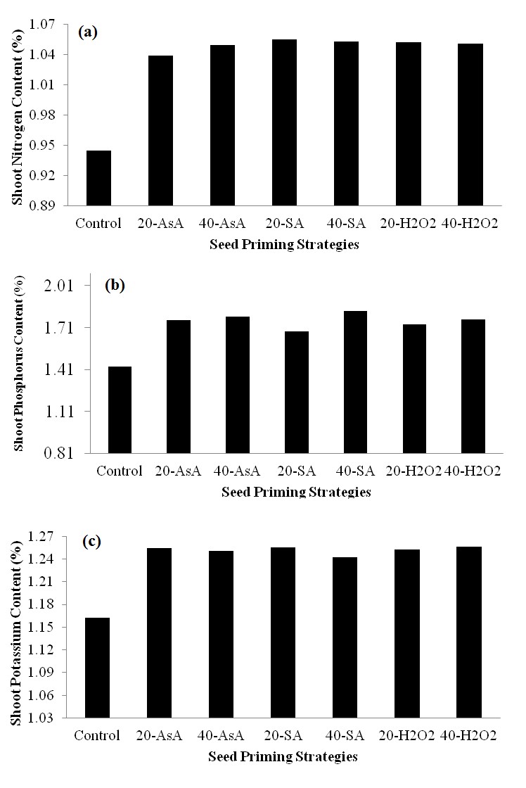 Shoot nitrogen (a), phosphorous (b) and potassium (c) contents of maize seedlings, in response to different priming strategies
