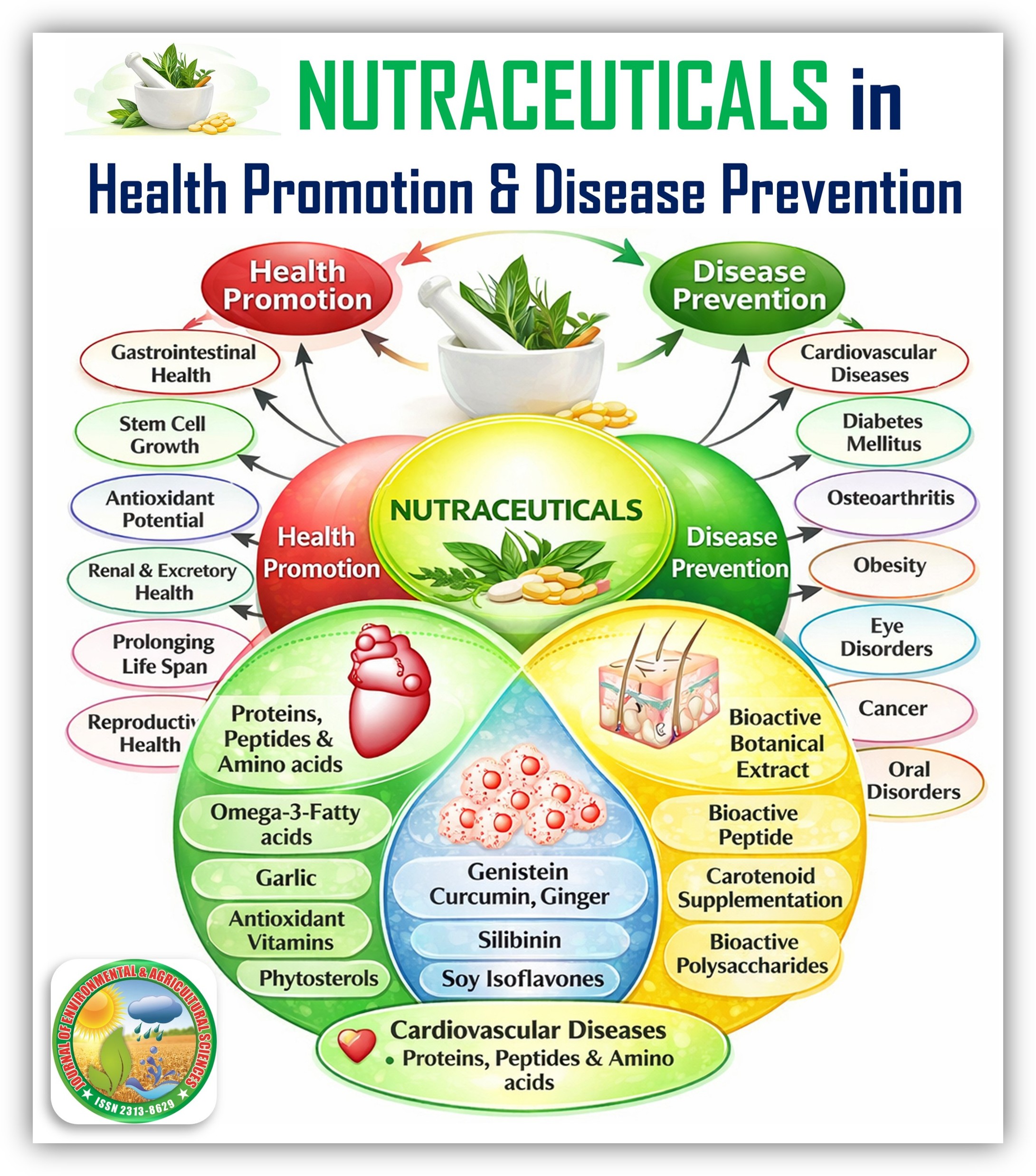 Nutraceutical and Health, Bioactive peptides and human health, Health promotion through bioactive food components, Disease prevention