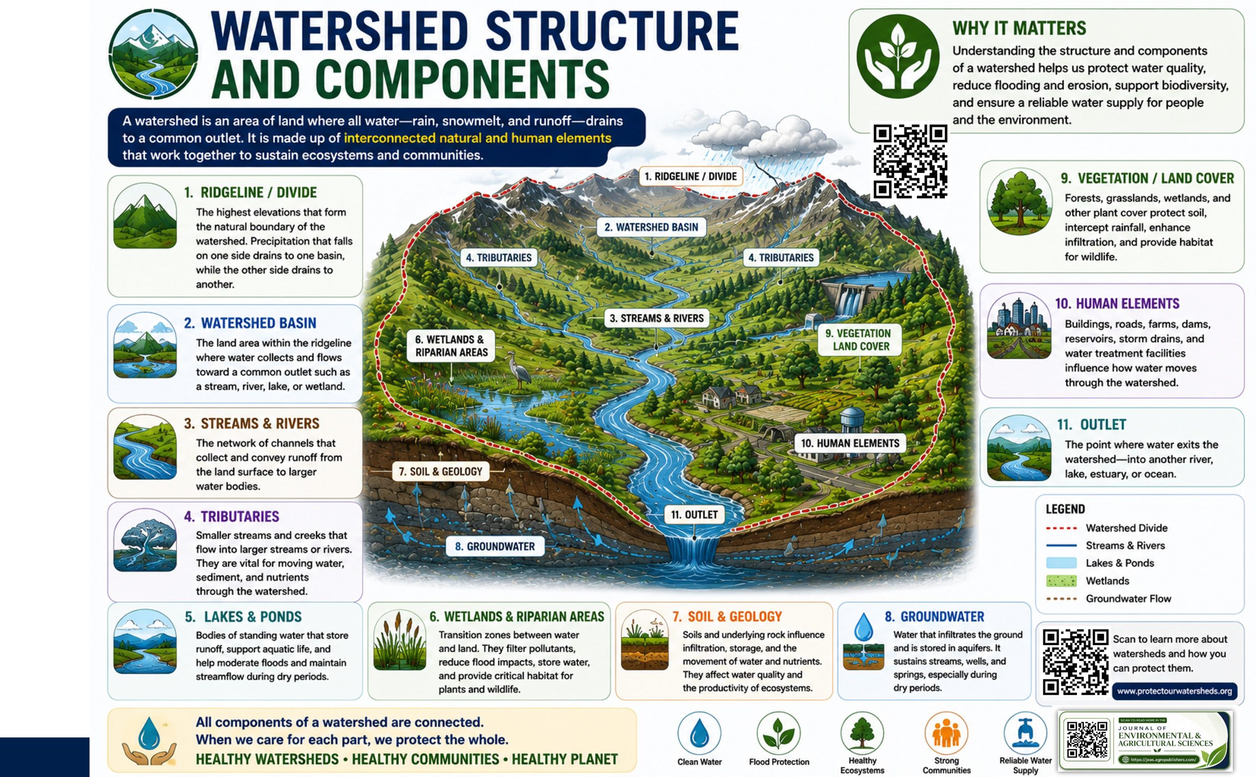 General structure and components of a watershed, Watershed structure and components explained, Watershed dynamics and water cycle processes, Watershed structure and hydrological processes, Surface runoff and infiltration in watersheds