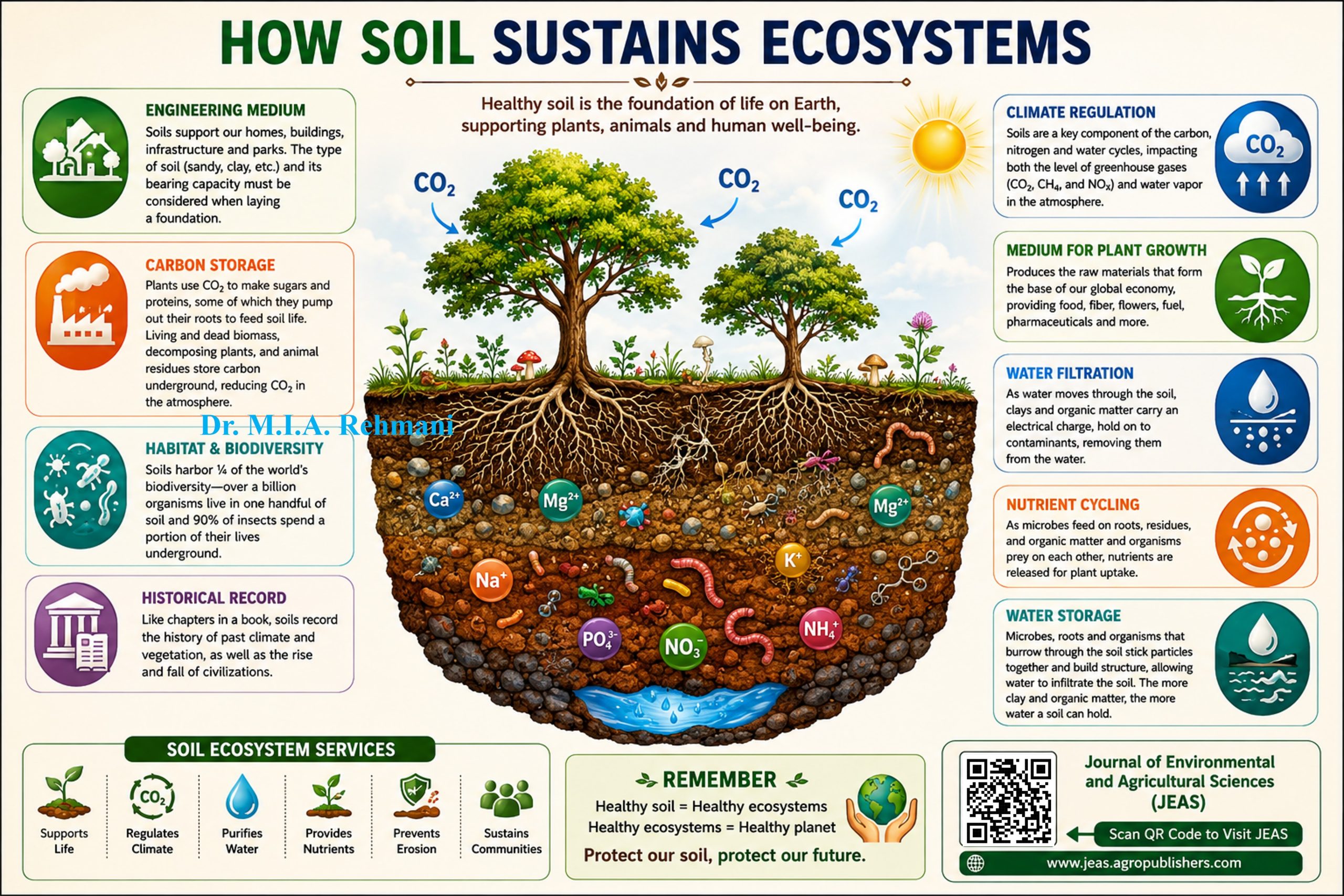 How Soil Sustains Ecosystems