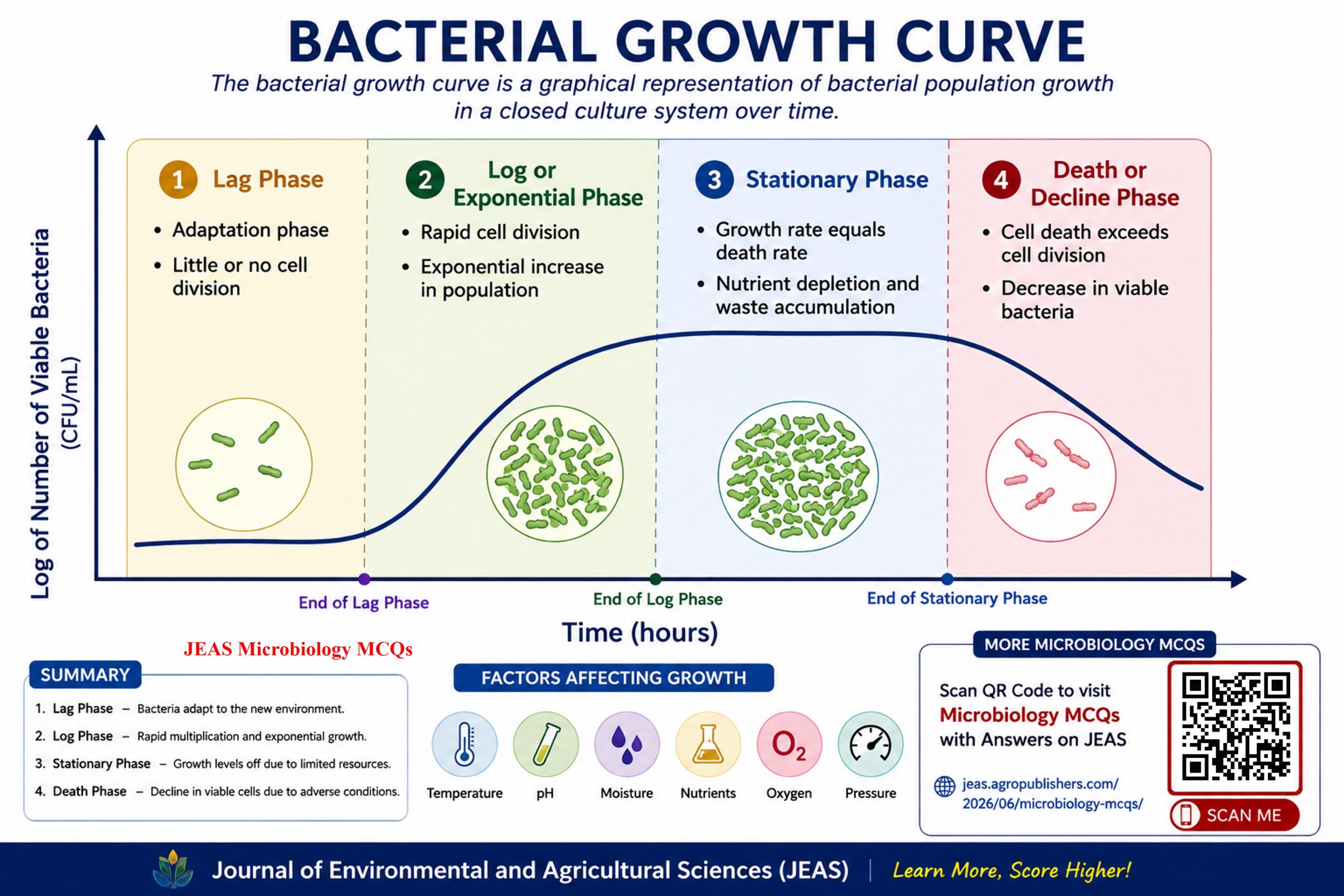 Bacterial Growth Curve